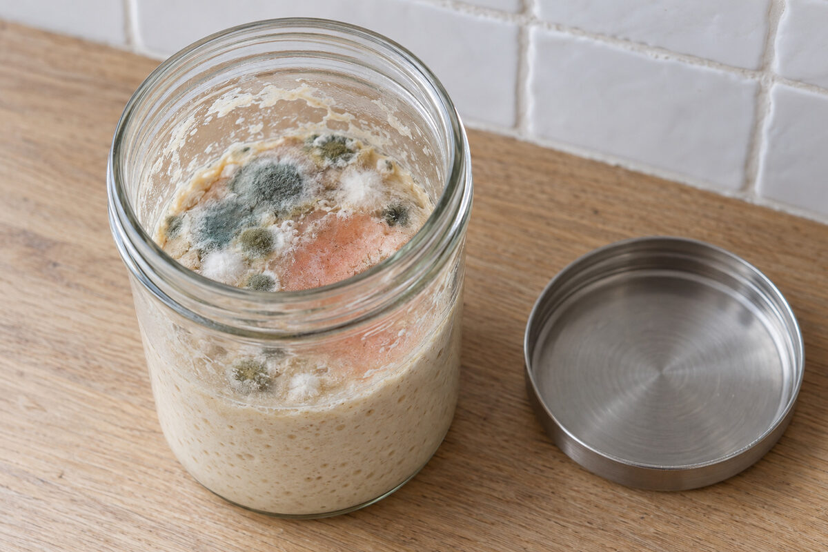 An open jar of neglected sourdough starter with fuzzy patches of mold, white, blue-green and olive, and a pinkish-orange stain on its surface