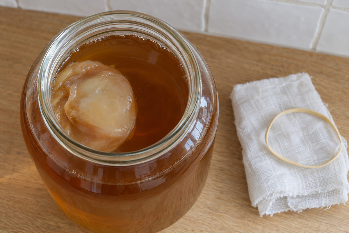 An uncovered jar of kombucha seen from above: the old SCOBY floats to one side and the rest of the tea's surface is bare, with no new layer