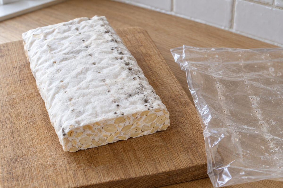 Torta de tempeh recién sacada de su bolsa agujereada: blanca y firme, con puntos negros y grises de esporas en fila junto a los agujeros
