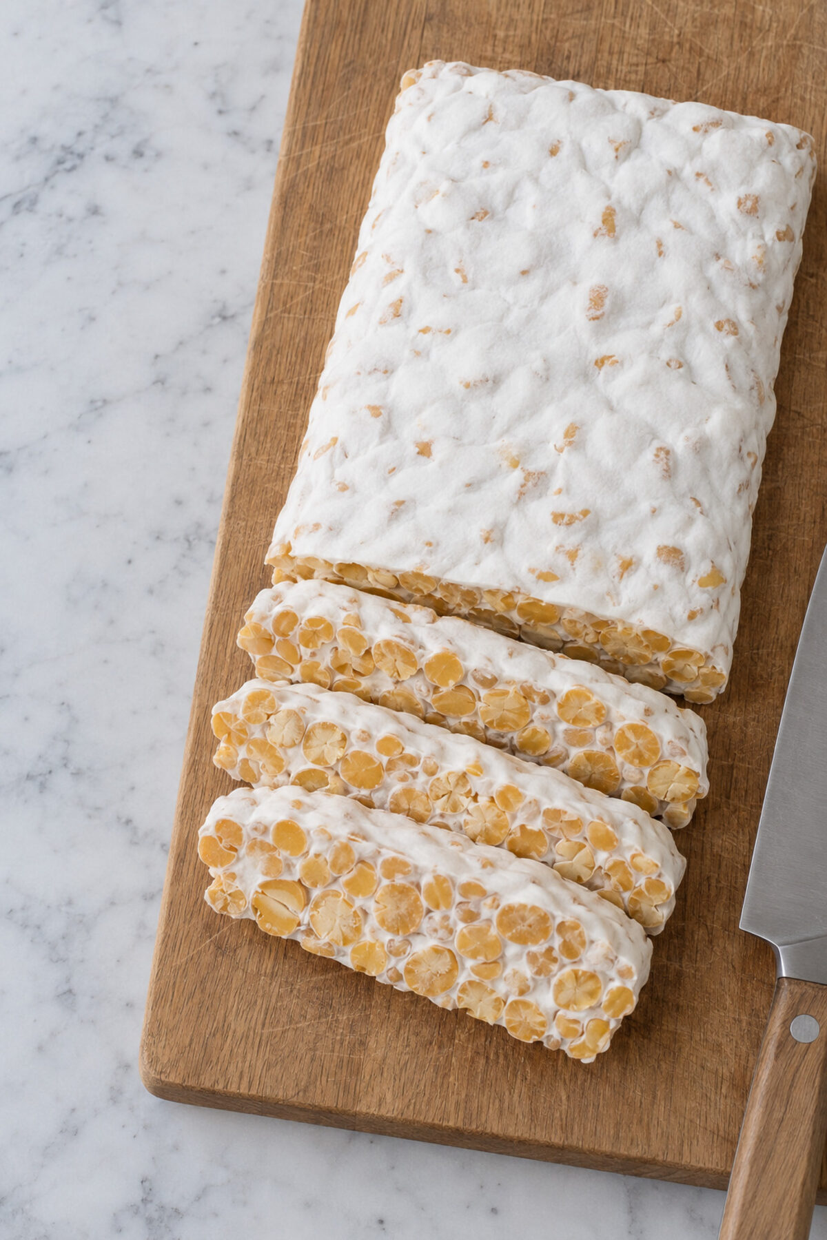 Tempeh de garbanzo casero